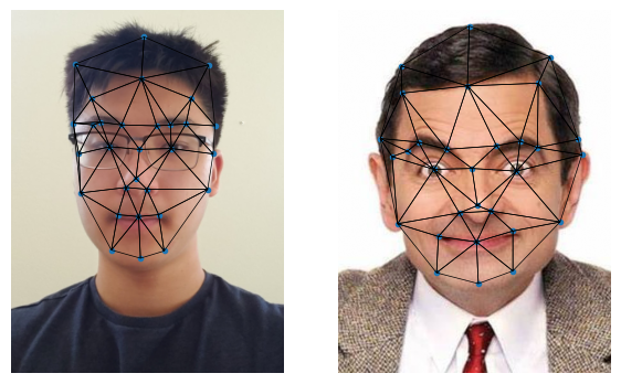 Side by Side Images with Delaunay triangulations depicted